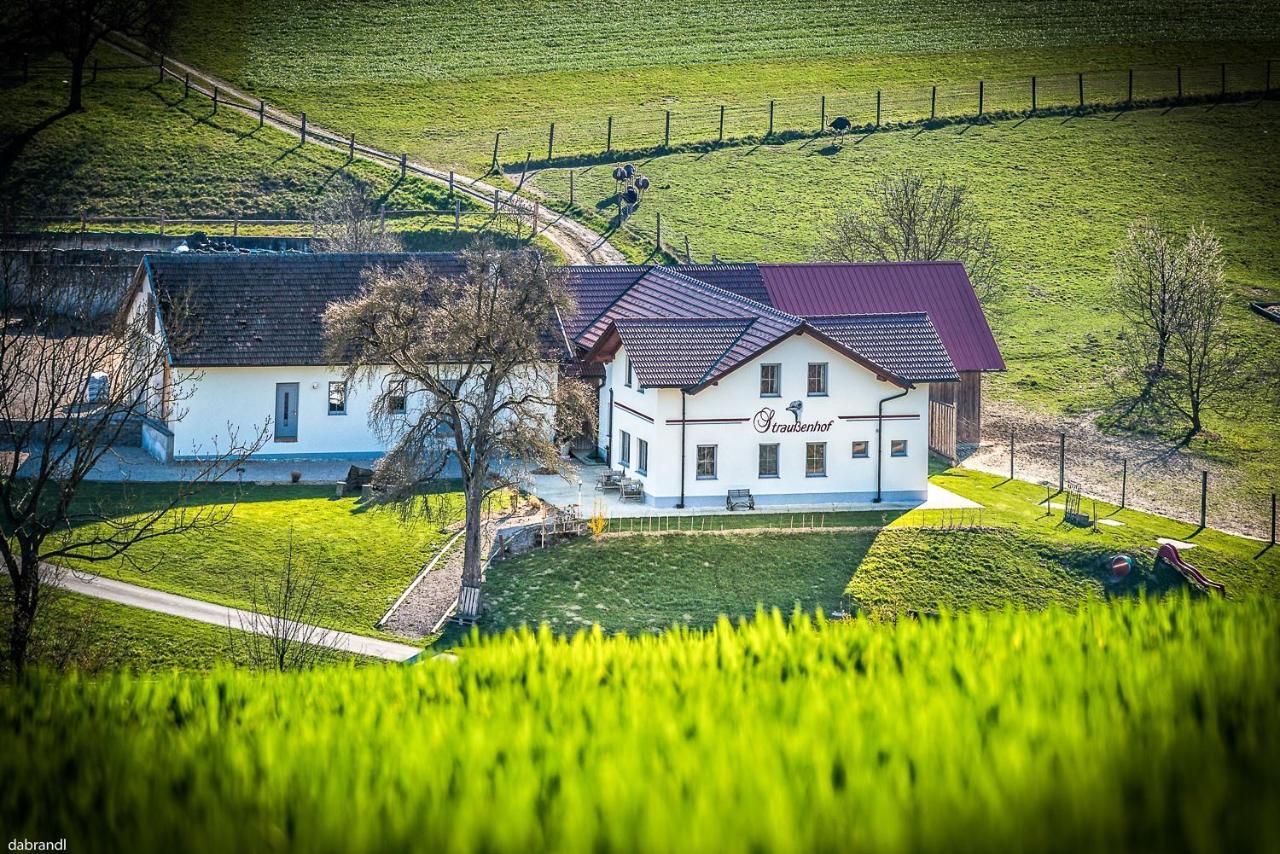 Straussenhof Halmer Oberndorf an der Melk Экстерьер фото